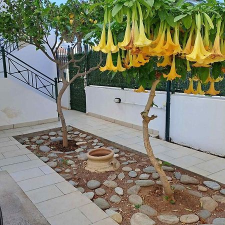 Dimitris Place Near Athens Airport 코로피온 외부 사진