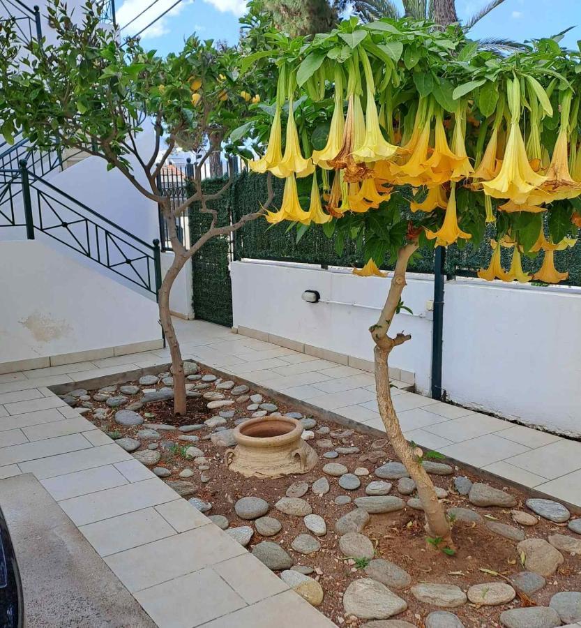 Dimitris Place Near Athens Airport 코로피온 외부 사진
