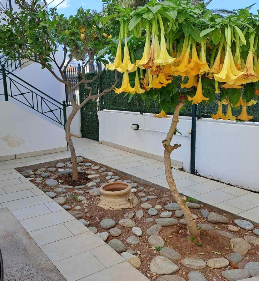 Dimitris Place Near Athens Airport 코로피온 외부 사진