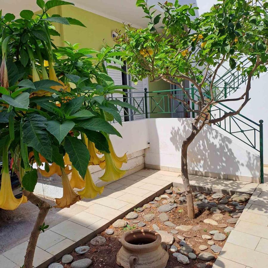 Dimitris Place Near Athens Airport 코로피온 외부 사진
